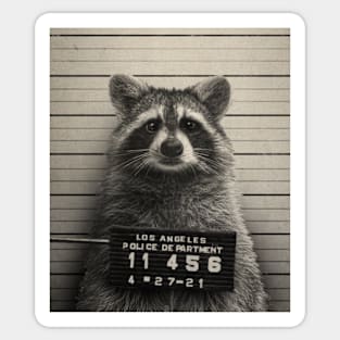 Mugshot Series 4 (Raccoon) by Buck Tee Sticker